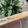 Malibu Rising