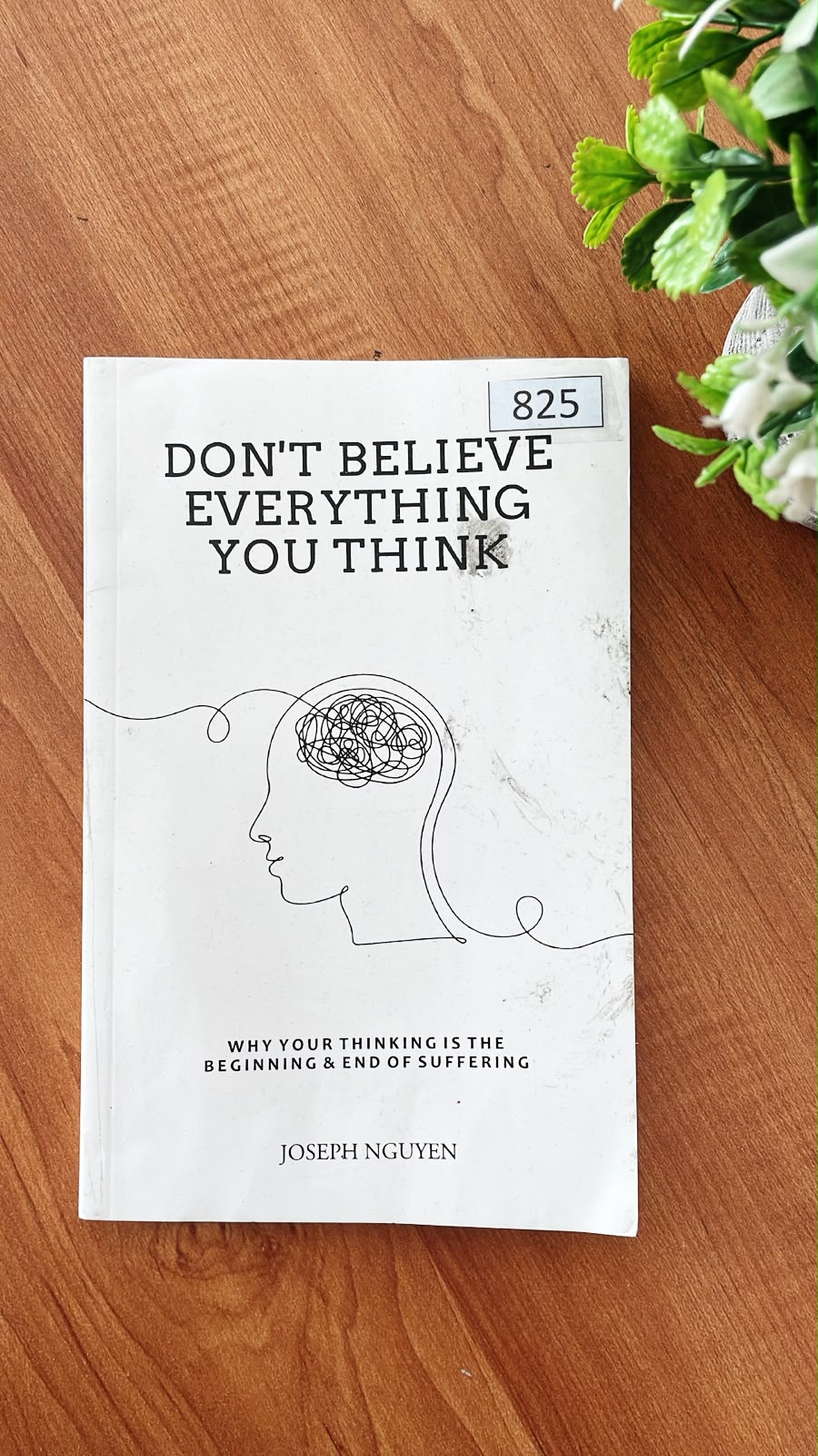1 (4) Don't Believe Everything You Think