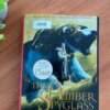 AMBER SPYGLASS