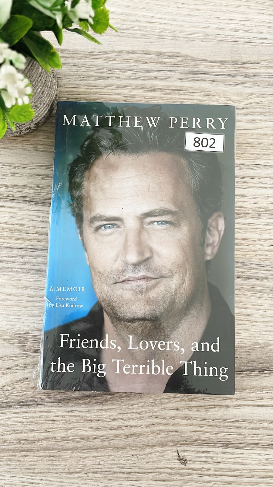 1 Friends, Lovers, and the Big Terrible Thing