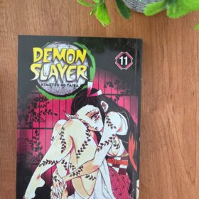 Demon Slayer Vol 11