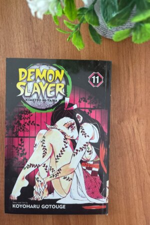 Demon Slayer Vol 11
