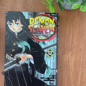 Demon Slayer Vol 12