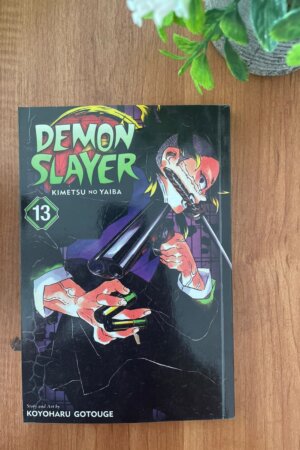 Demon Slayer Vol 13