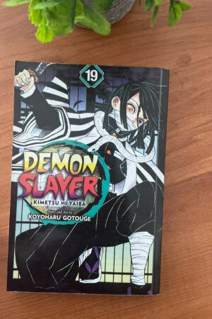 Demon Slayer Vol 19