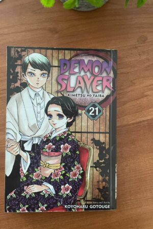Demon Slayer Vol 21