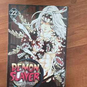 Demon Slayer Vol 22
