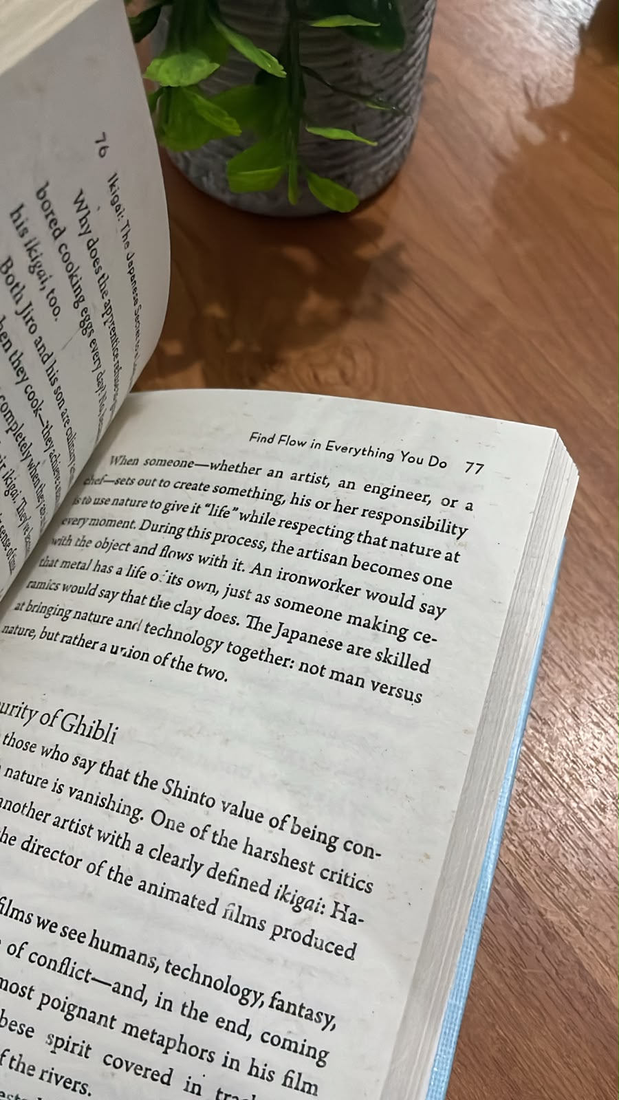 33