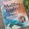 Malibu Rising
