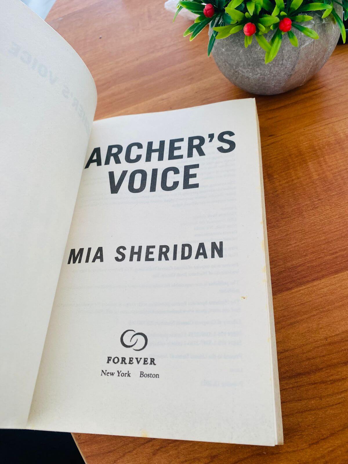Archer voice by Mia sheridan - 4 (294)