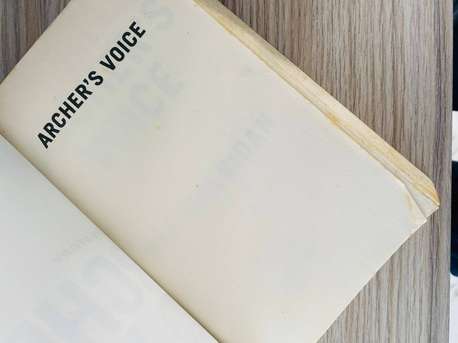 Archer’s Voice 4 Archer’s Voice