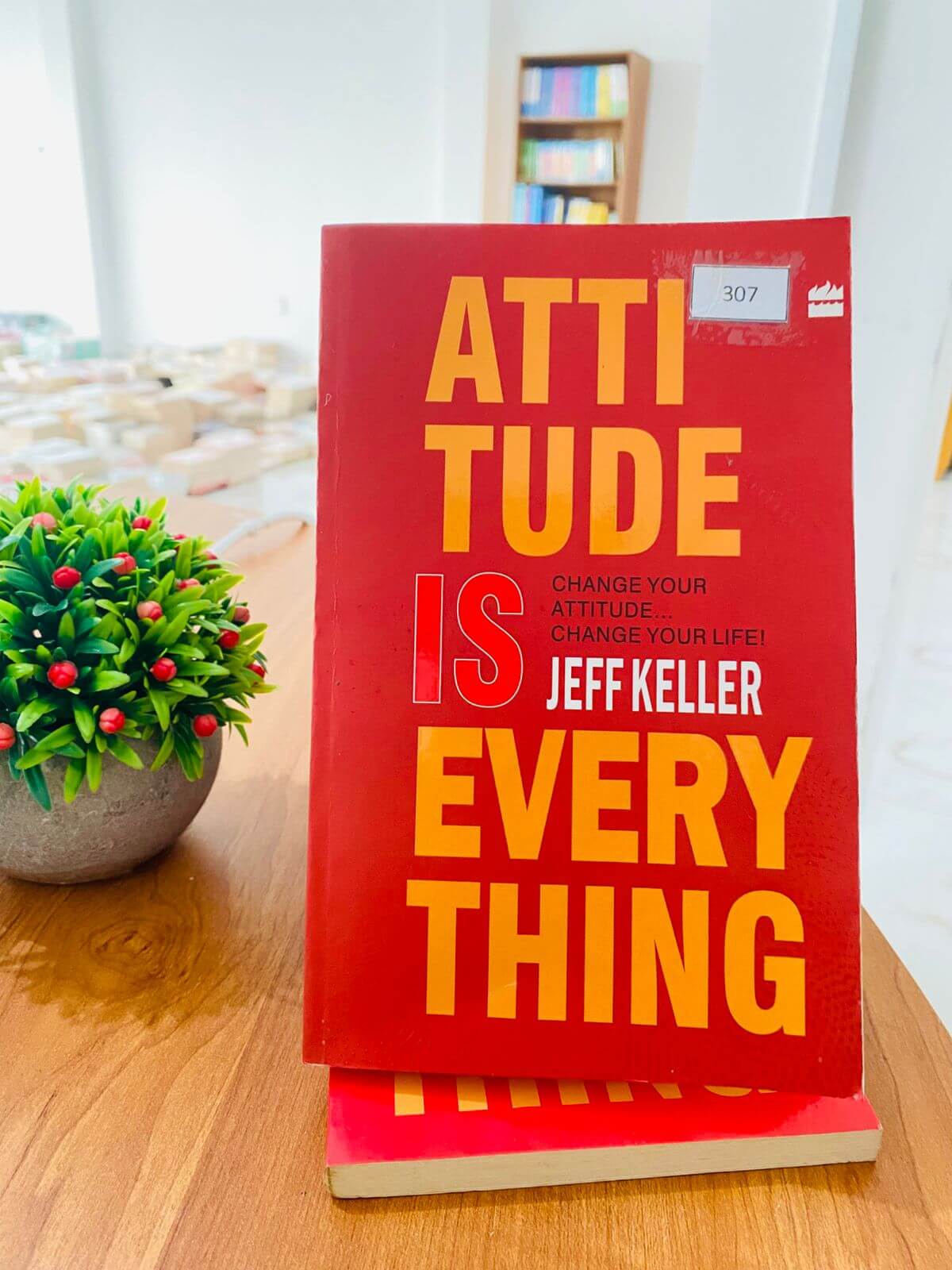 Attitude is Everything-i (307) Attitude is Everything-