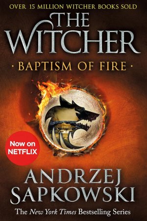 The Witcher : Baptism of Fire