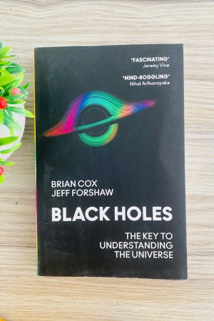 Black Holes