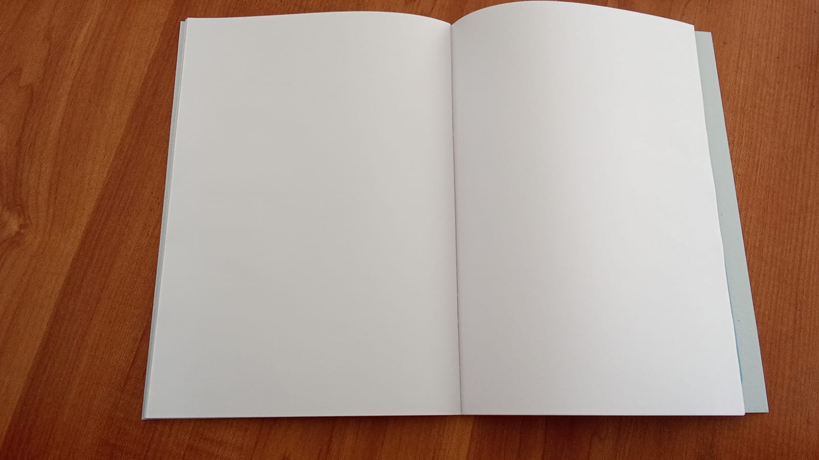 Blank Book (5) RATHNA EX BLANK 80P