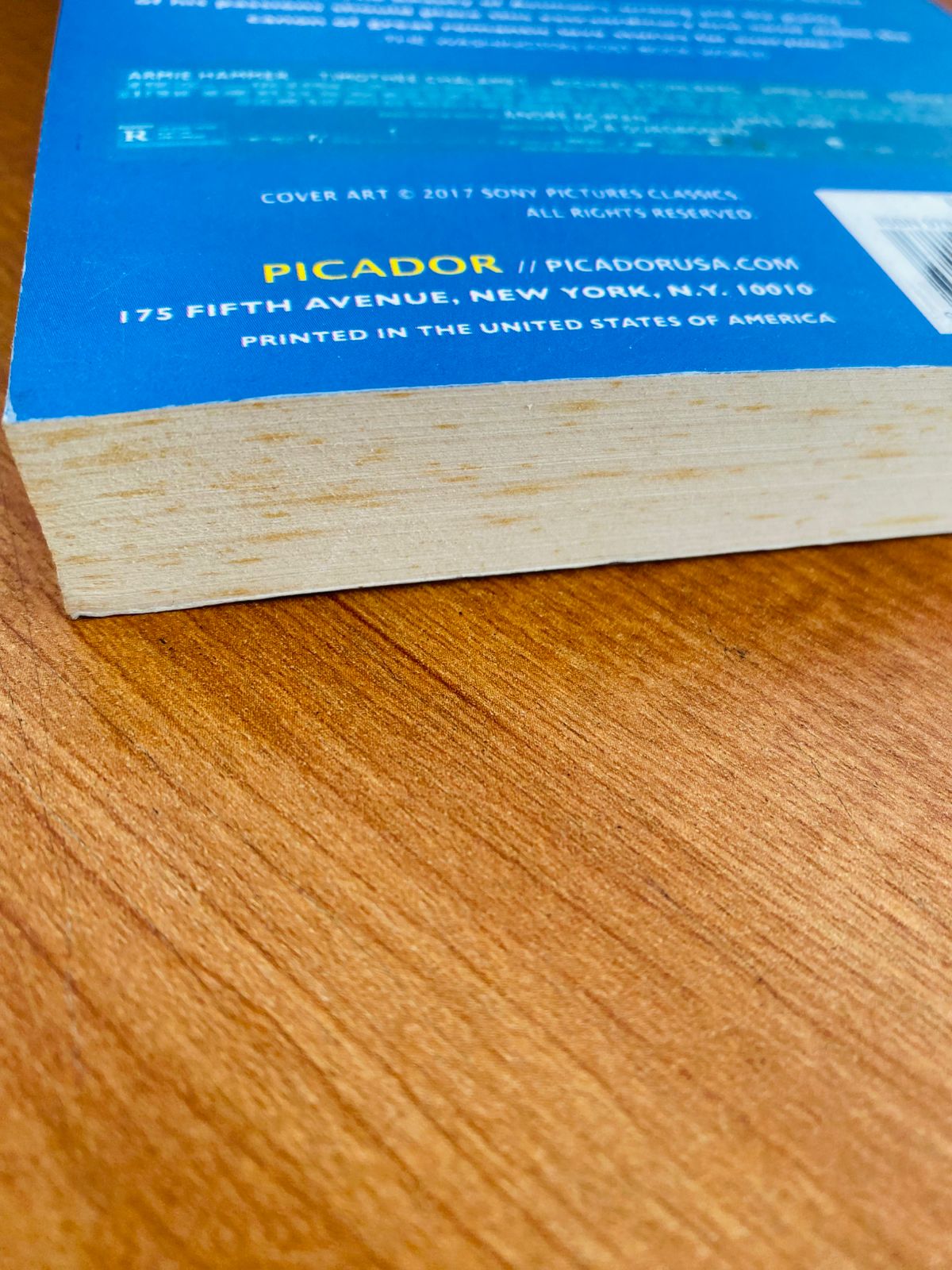 Call Me by Your Name (2)