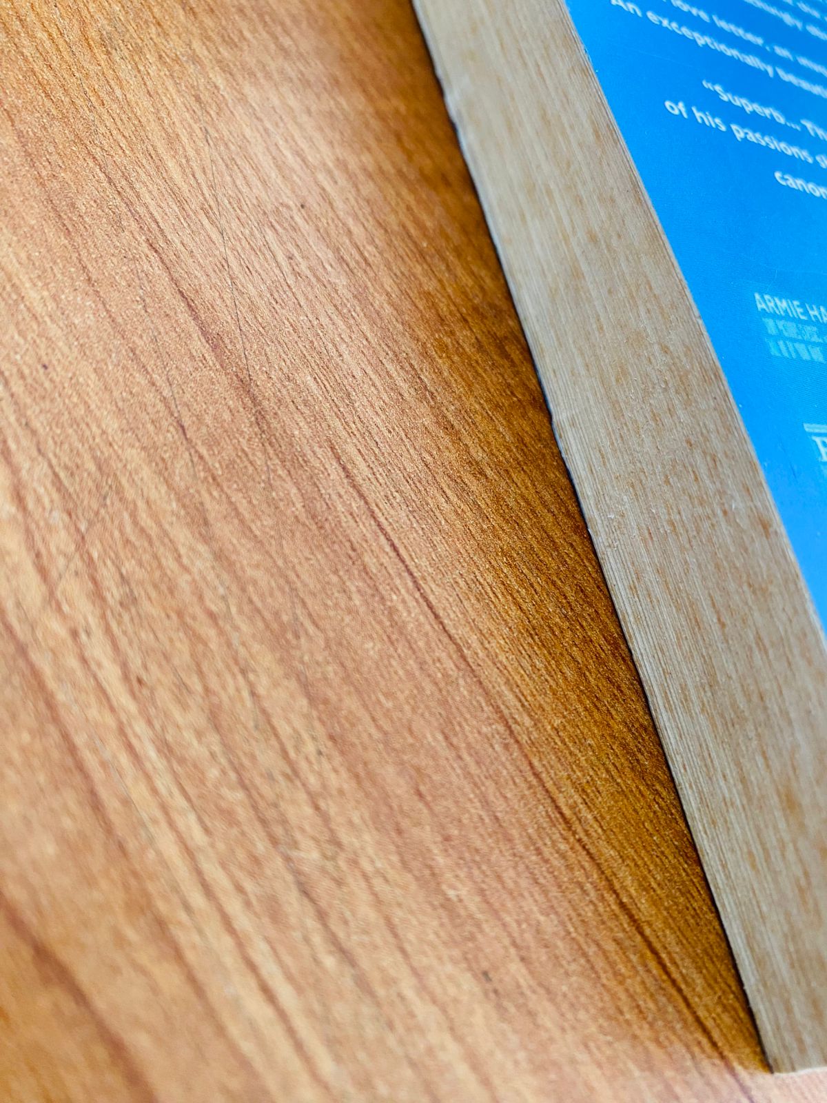 Call Me by Your Name (3)