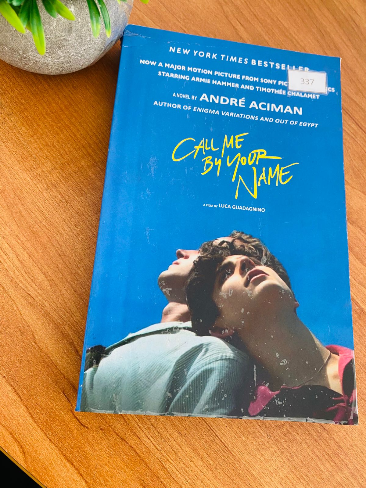 Call Me by Your Name (4) Call Me by Your Name