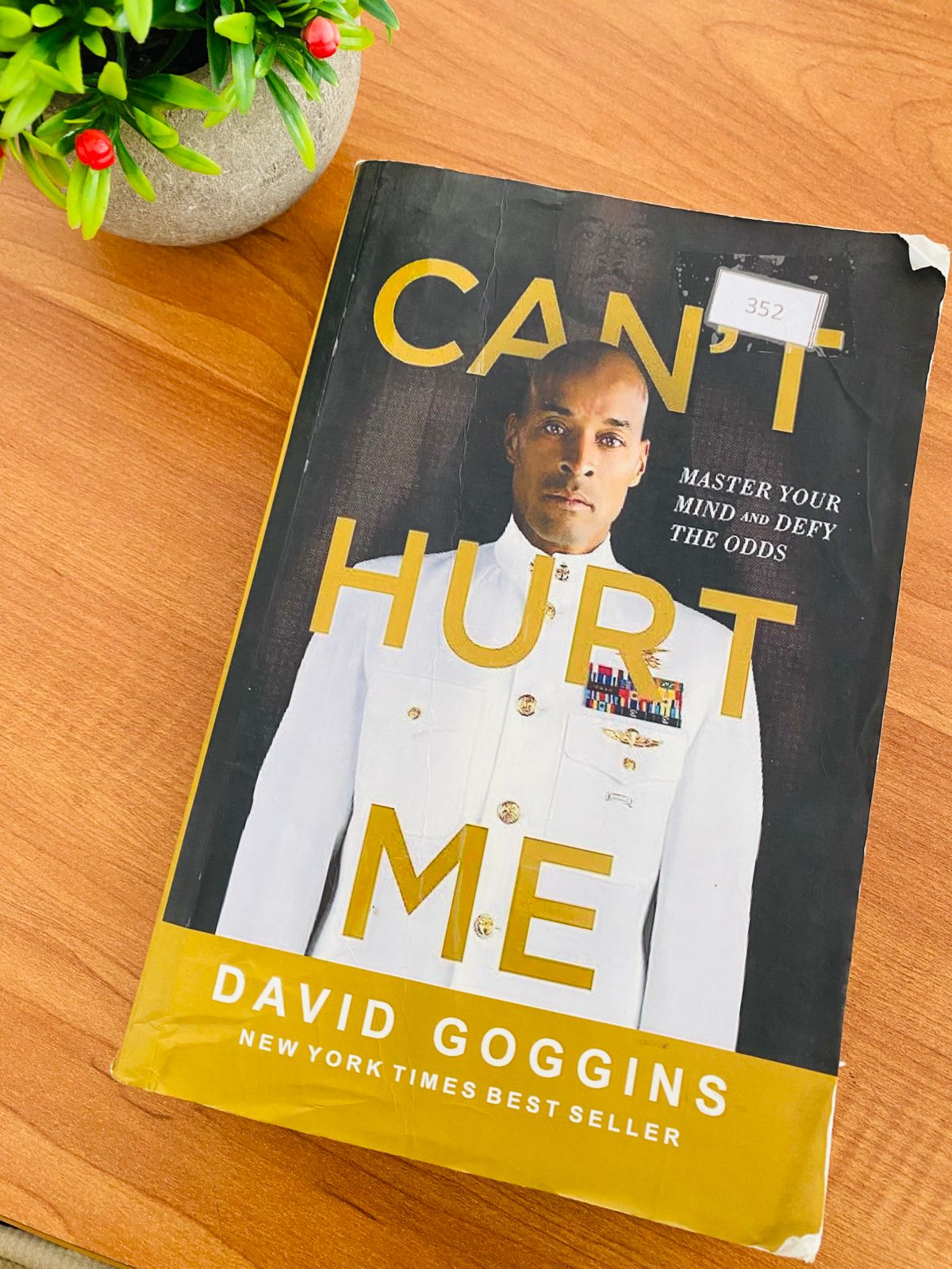 Can't Hurt Me (3) Can't Hurt Me