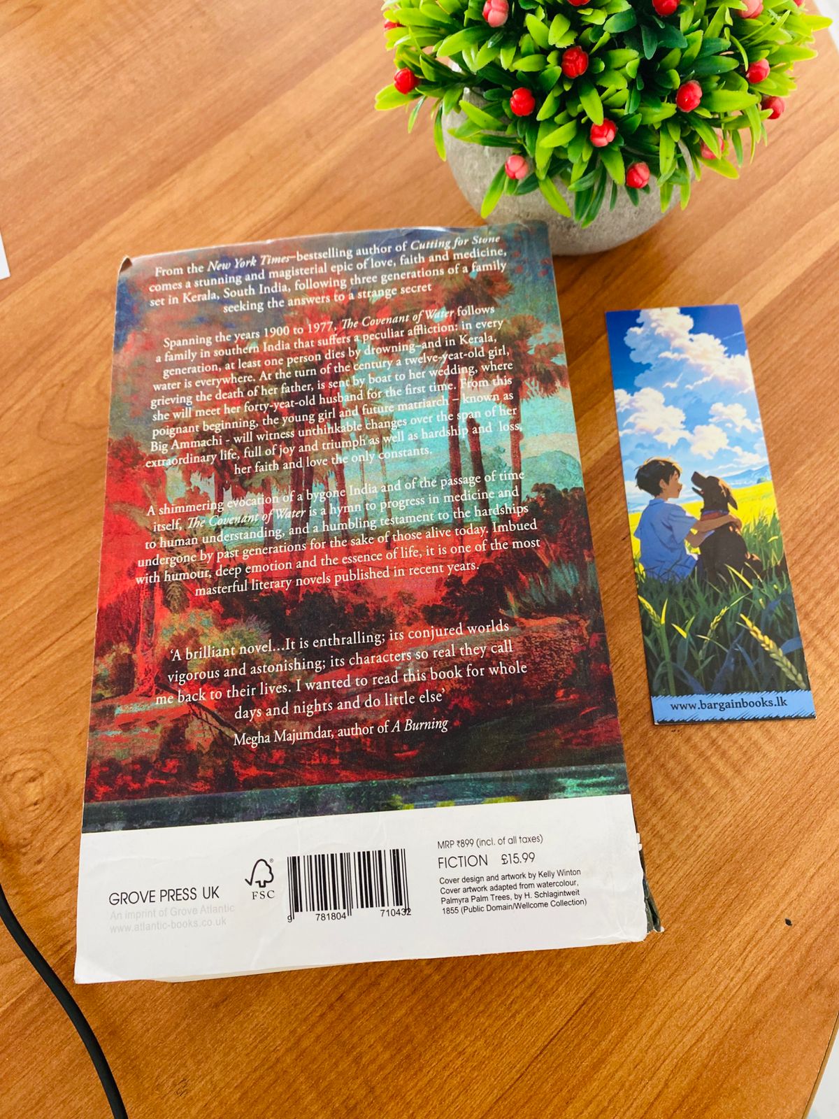 Covenant of Water (2)