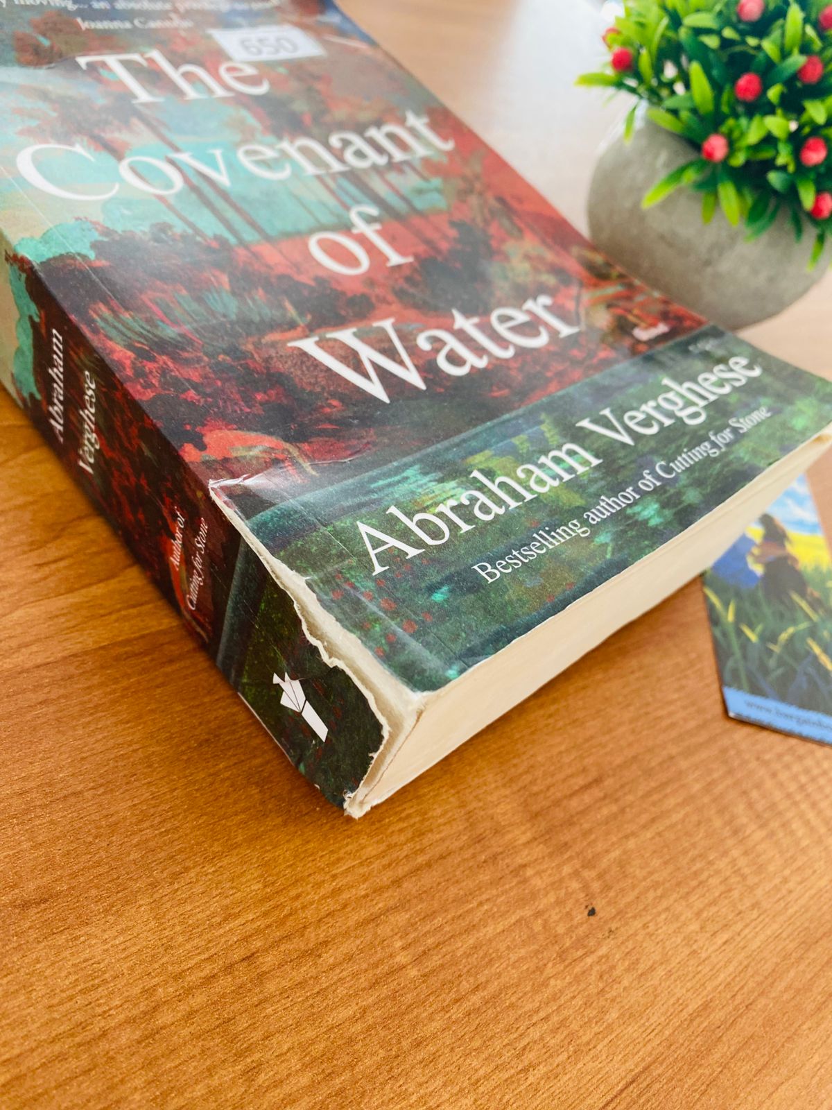 Covenant of Water (3)