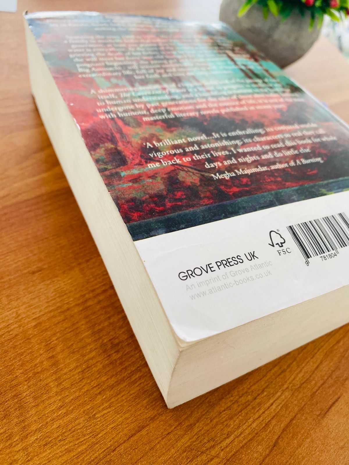 Covenant of Water (5)