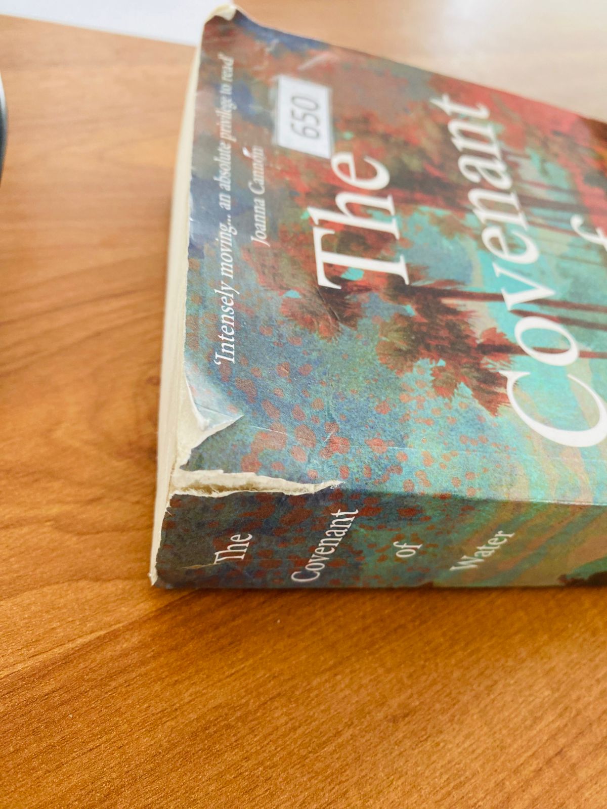 Covenant of Water (6) Covenant of Water