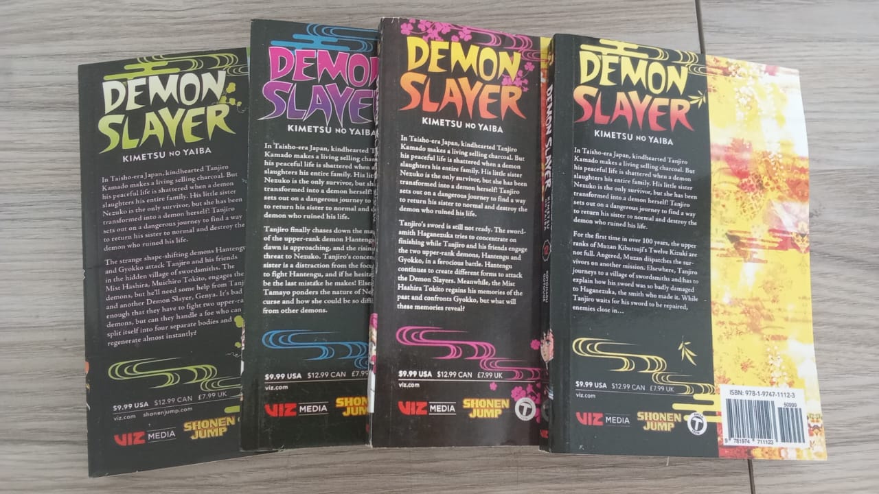 Demon slayer 11