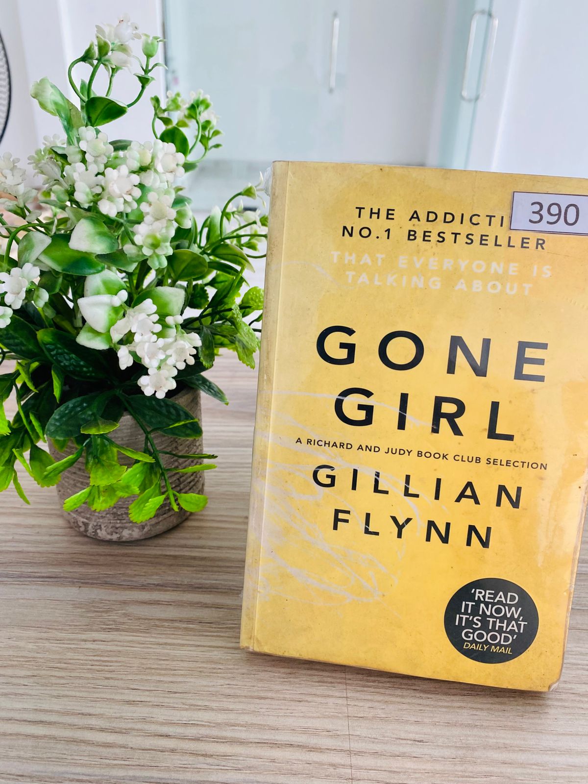 Gone Girl - 4 (390) Gone Girl