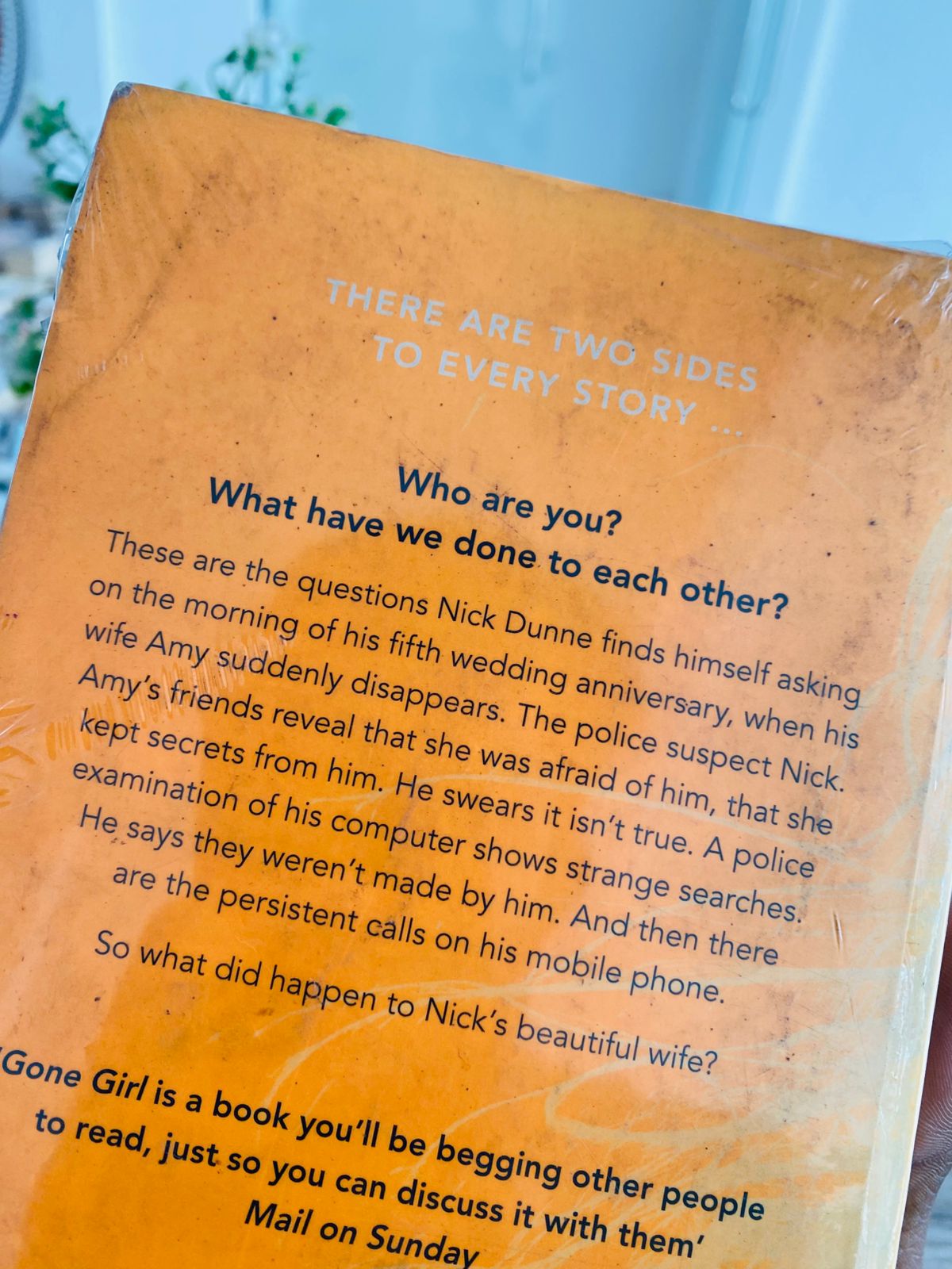 Gone Girl - 5 (390)