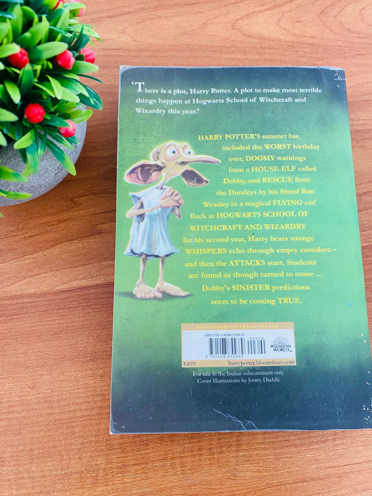 Harry Potter and the Chamber Of Secrets (5)