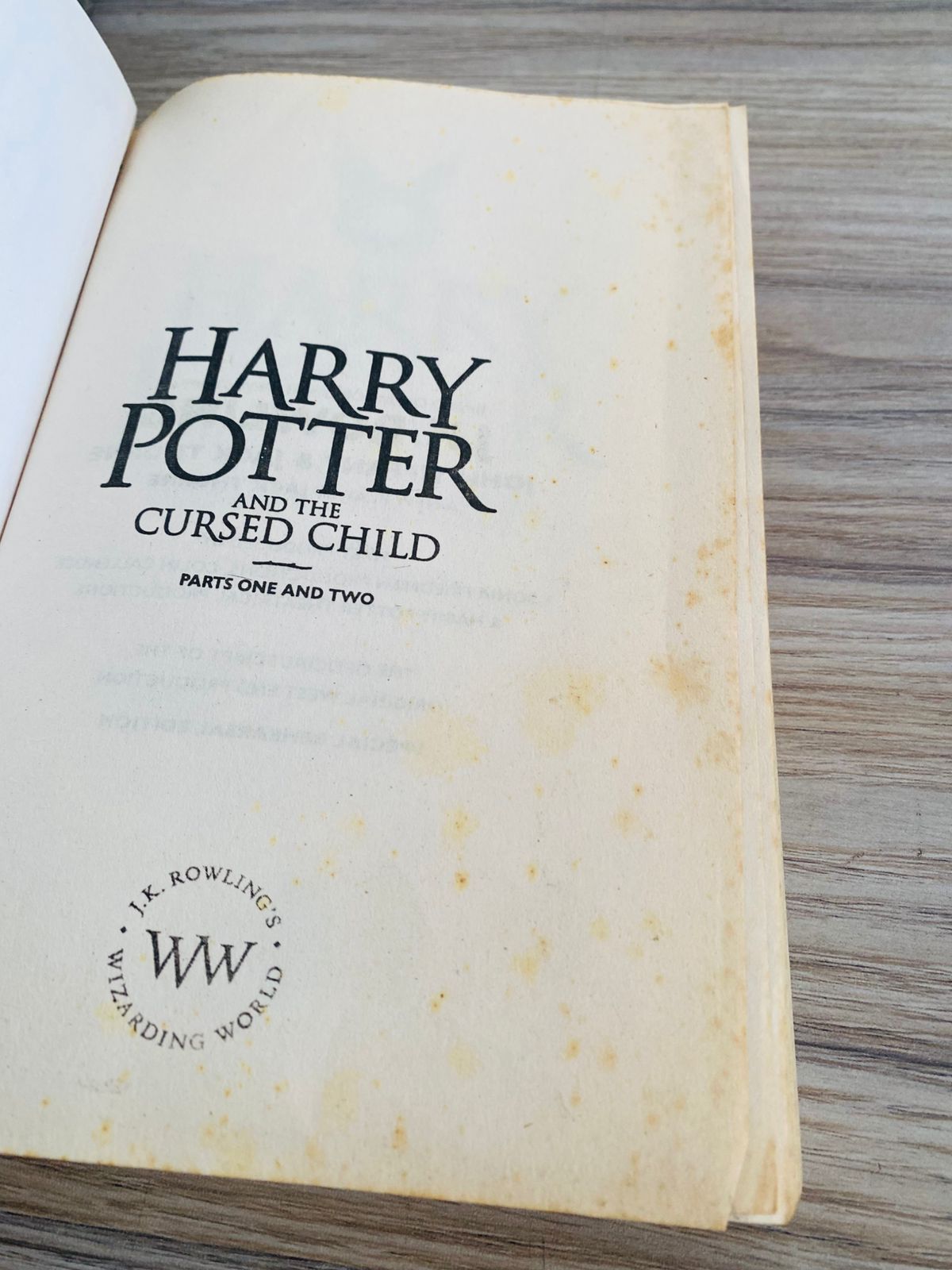Harry Potter and the Cursed Child (3)