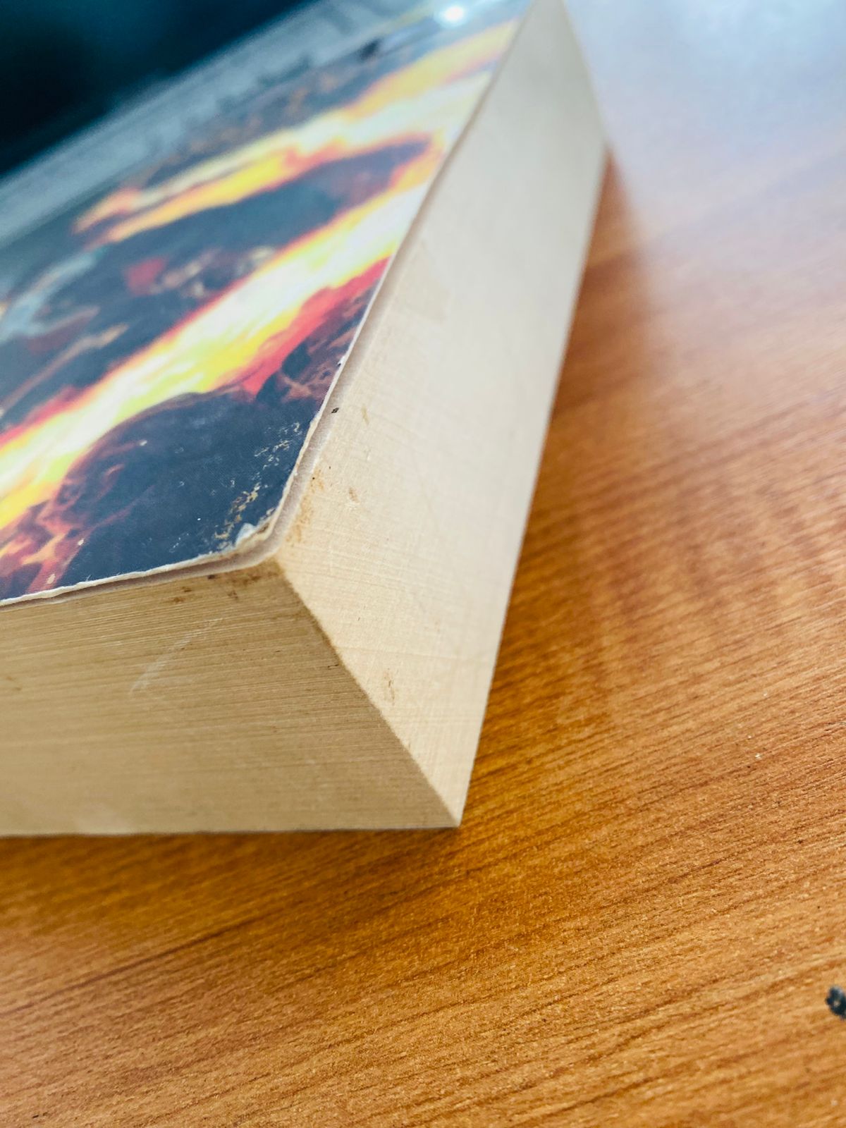 Harry Potter and the Half Blood Prince (1)