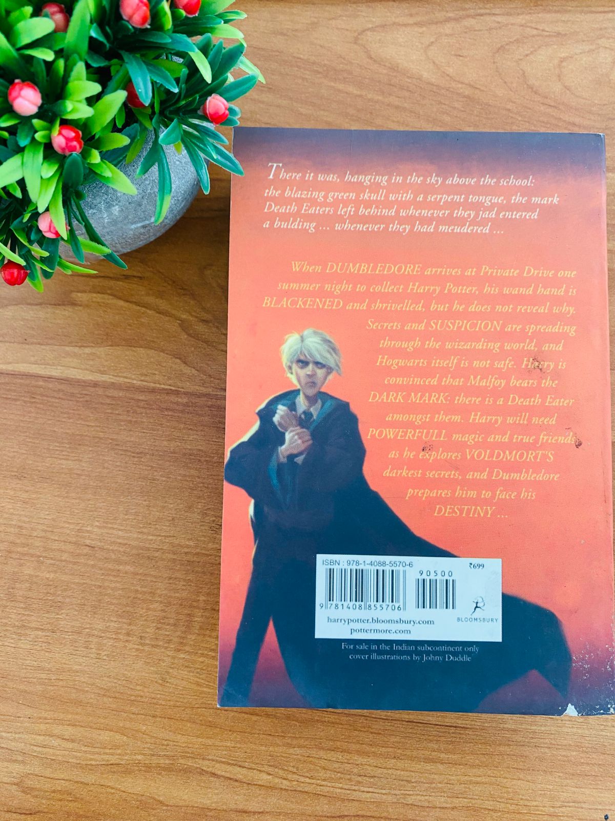 Harry Potter and the Half Blood Prince (2)