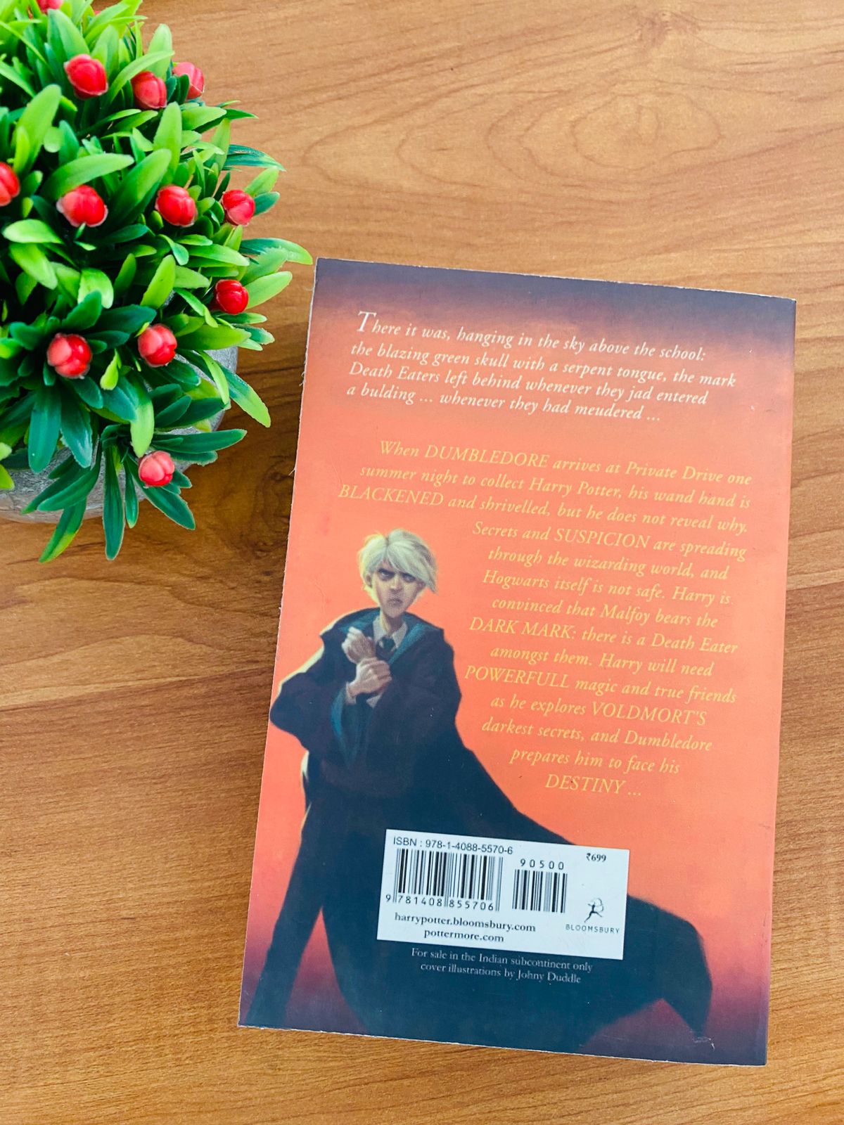 Harry Potter and the Half Blood Prince (4)