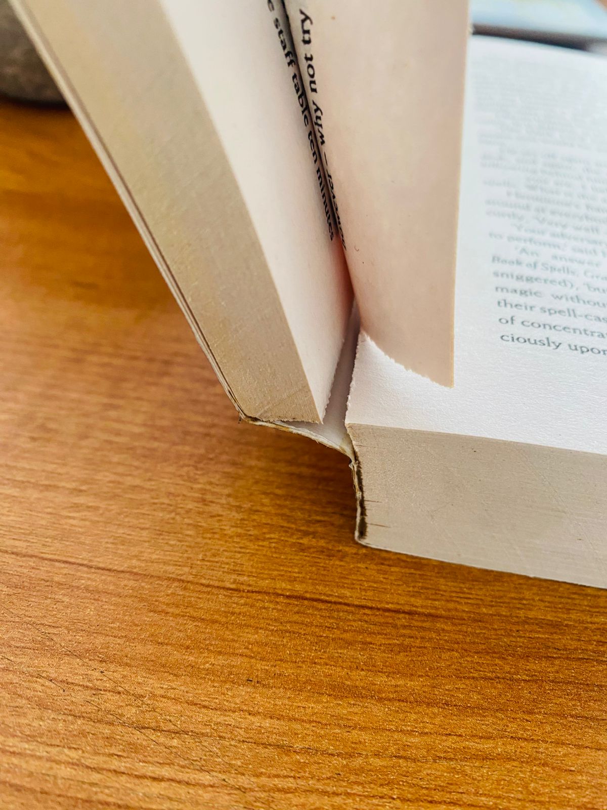 Harry Potter and the Half Blood Prince by J. K. Rowling (445)