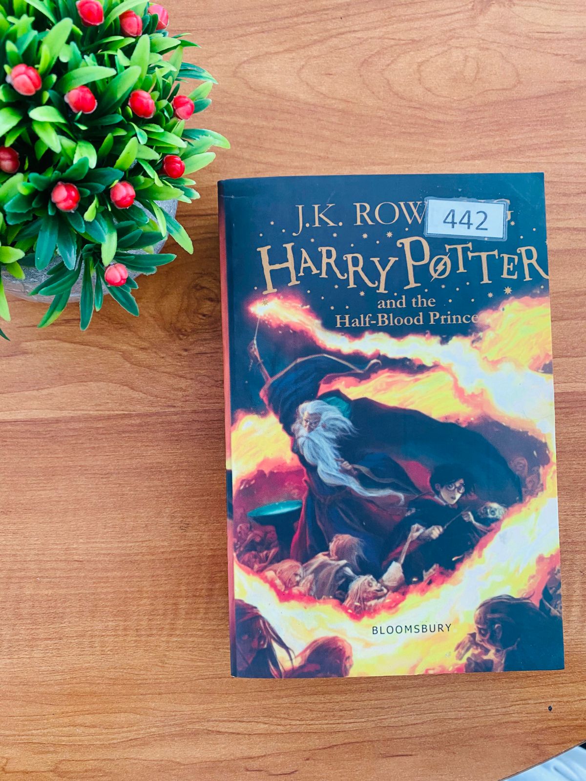 Harry Potter and the Half Blood Prince by J. K. Rowling (446) Harry Potter and the Half Blood Prince