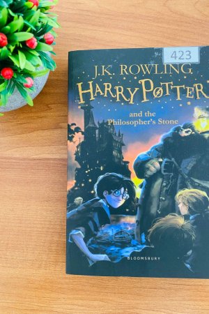 Harry Potter and the Phylosophers Stone