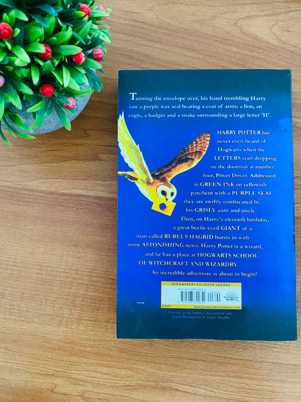 Harry Potter and the Phylosophers Stone (3)