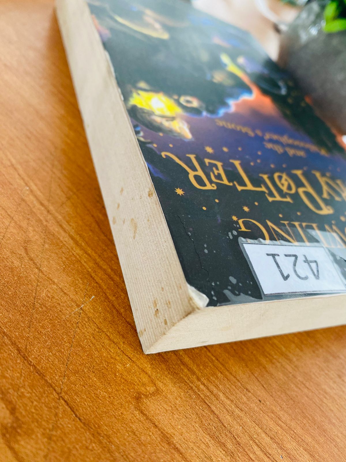 Harry Potter and the Phylosophers Stone (4)