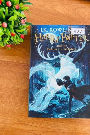 Harry Potter and the Prisoner Of Azkaban