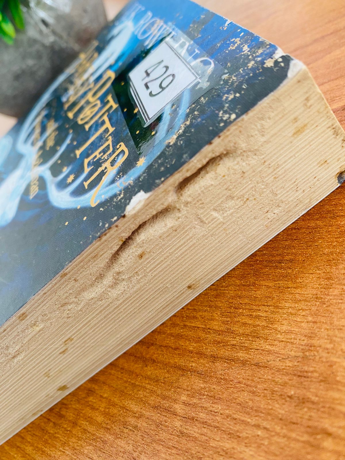 Harry Potter and the Prisoner Of Azkaban (3)