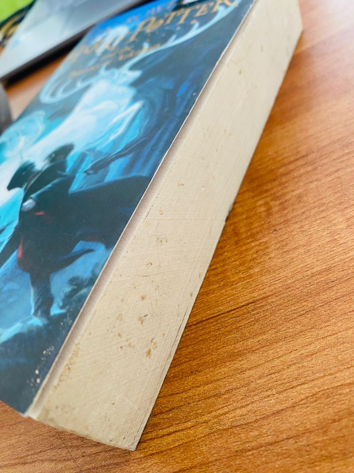 Harry Potter and the Prisoner Of Azkaban (3)