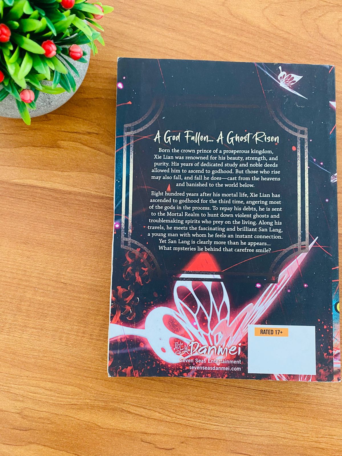 Heaven Official's Blessing - 1 (2)