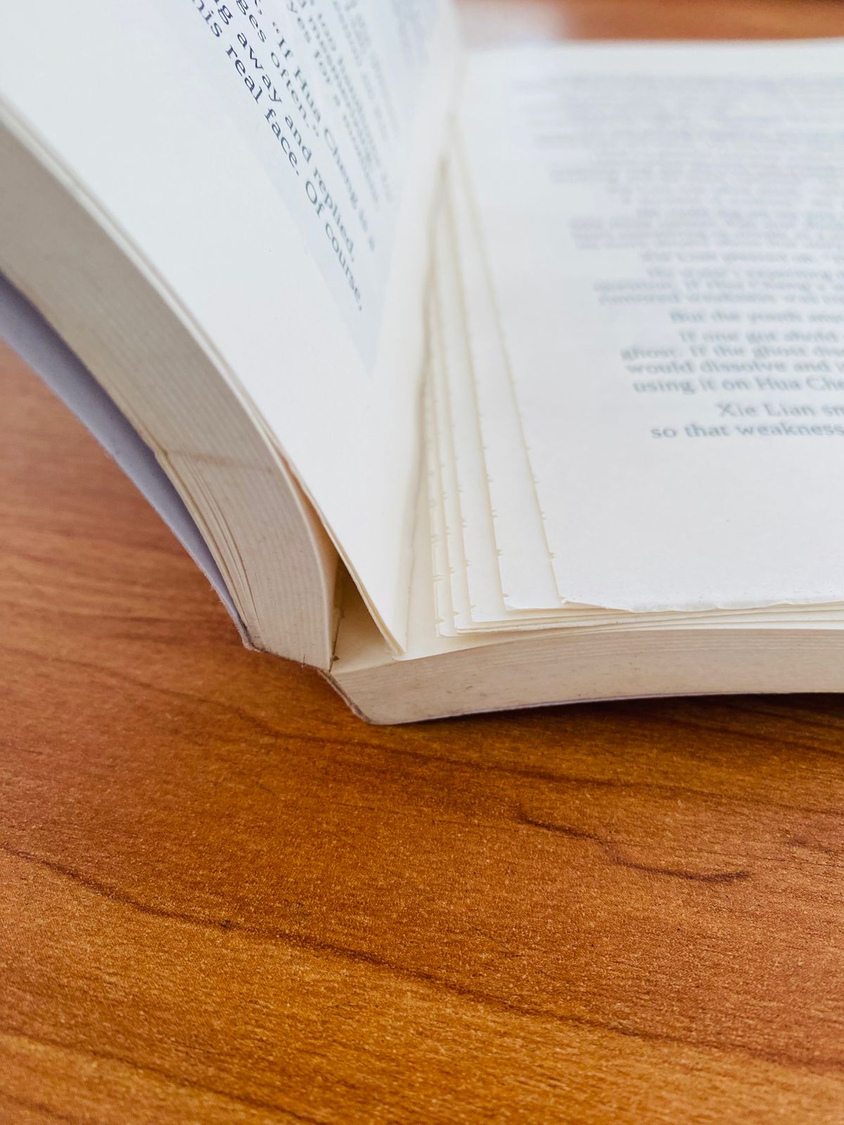 Heaven Official's Blessing - 1 (3)