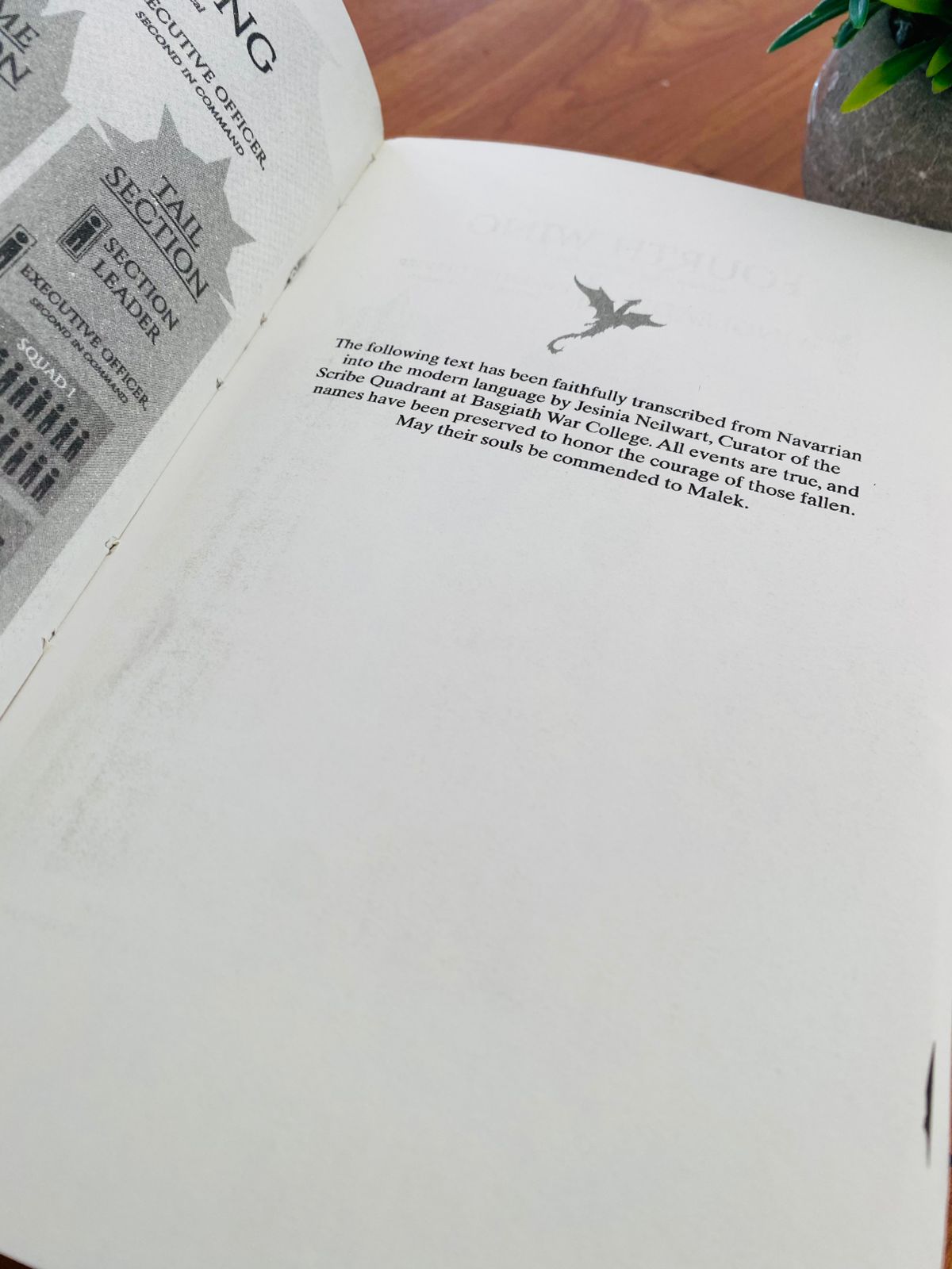 Iron Flame (1) Iron Flame