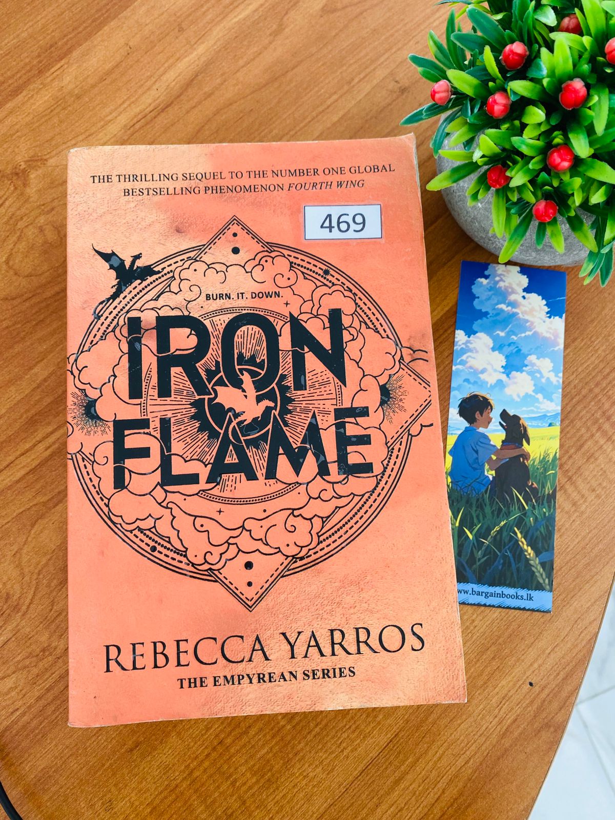 Iron Flame (3) Iron Flame