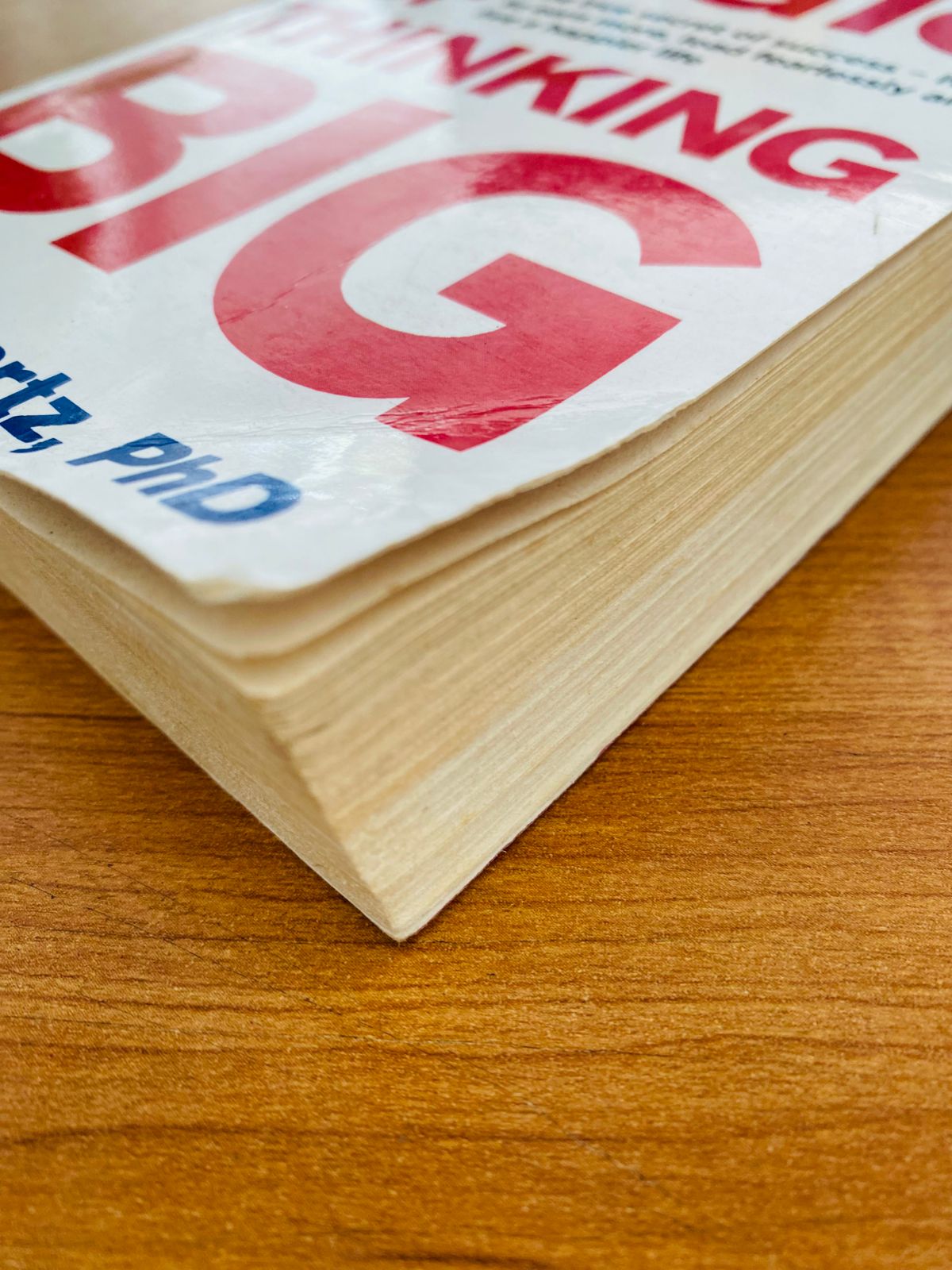 Magic of Thinking Big (3)