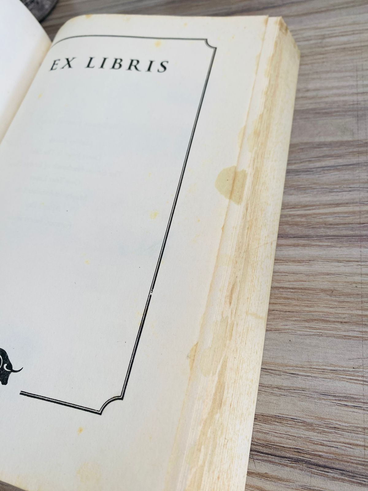 Malibu Rising - 3 (502)