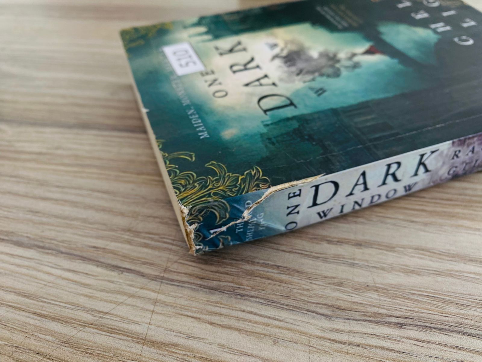 One darel window by Rachel Gillig - 2 (510) One Dark Window